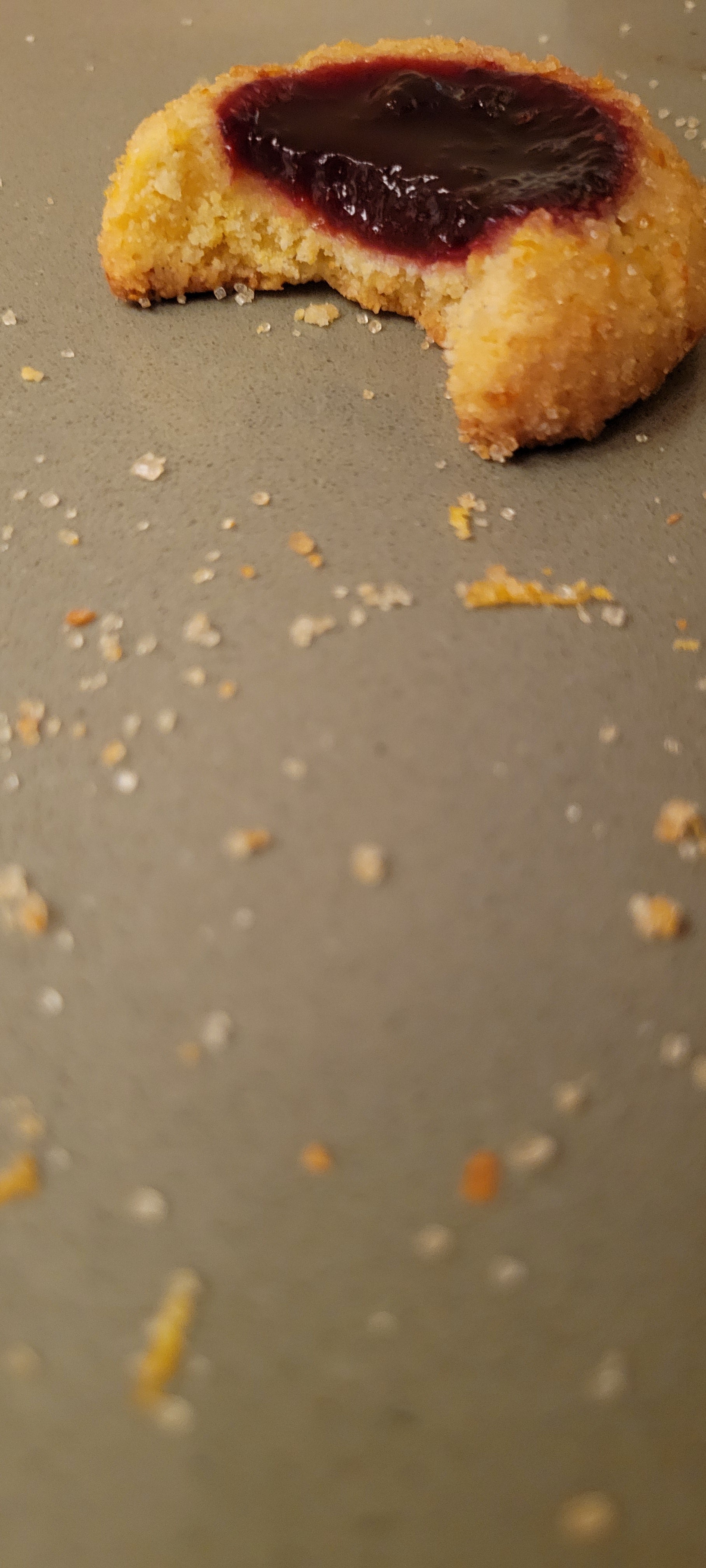 Artisan Holiday Cookie Preorders 2025