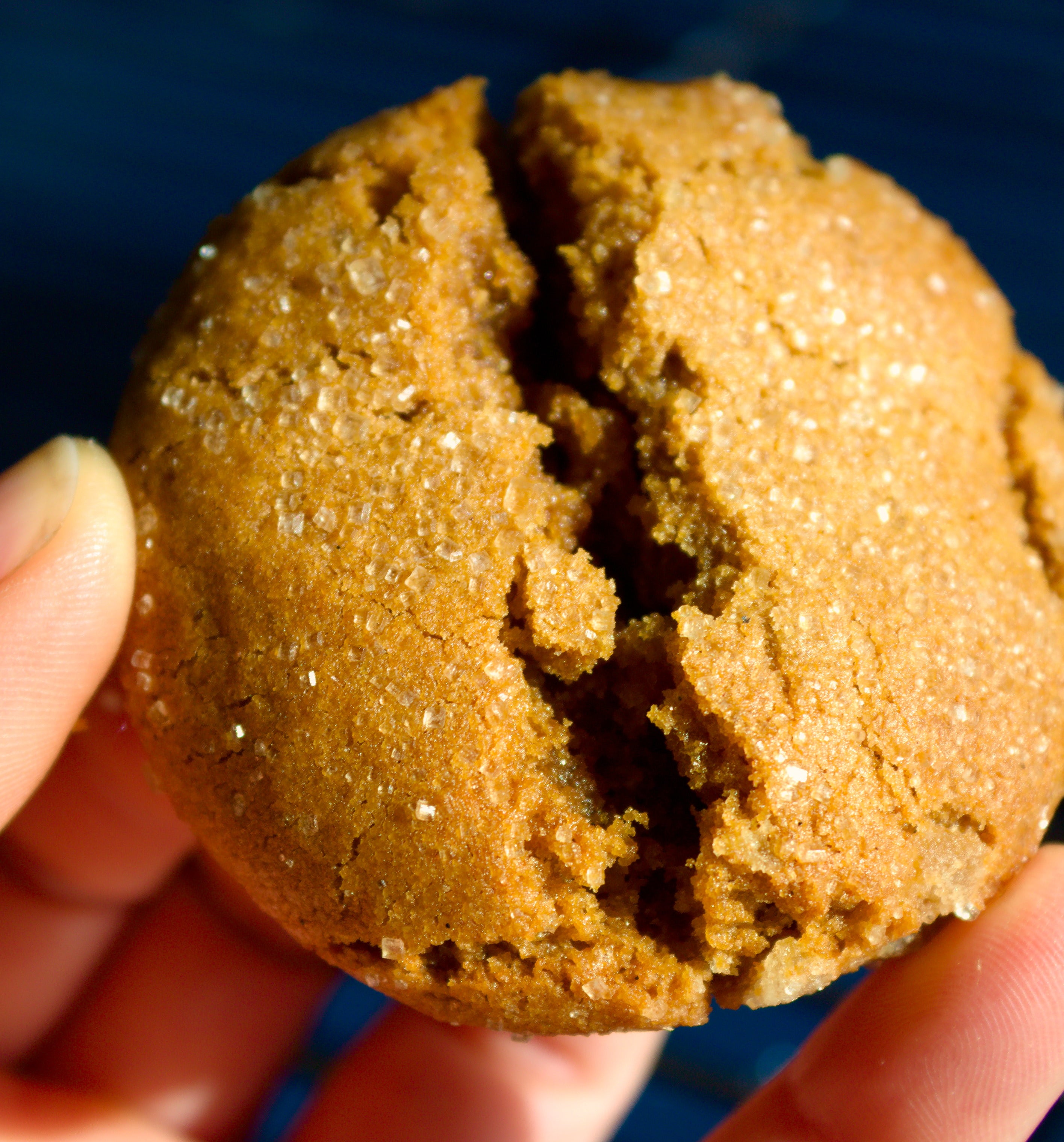 Dec 10th Pickup (Seattle) - Artisan Holiday Cookie Boxes